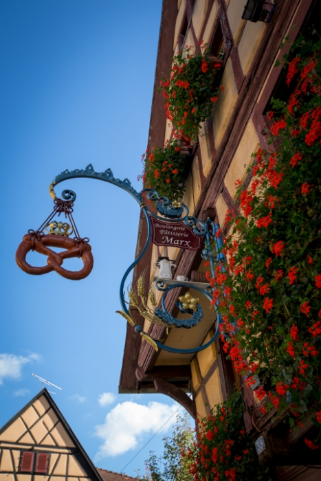 Eguisheim - 175